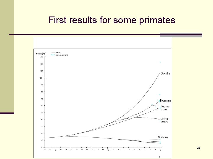 First results for some primates 23 