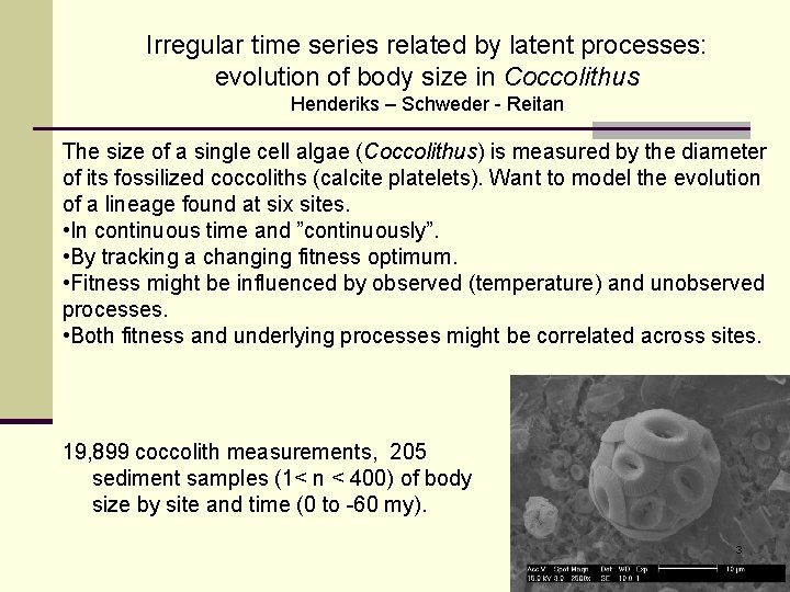 Irregular time series related by latent processes: evolution of body size in Coccolithus Henderiks