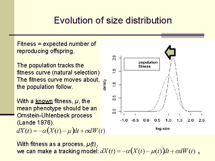 Evolution of size distribution Fitness = expected number of reproducing offspring. The population tracks