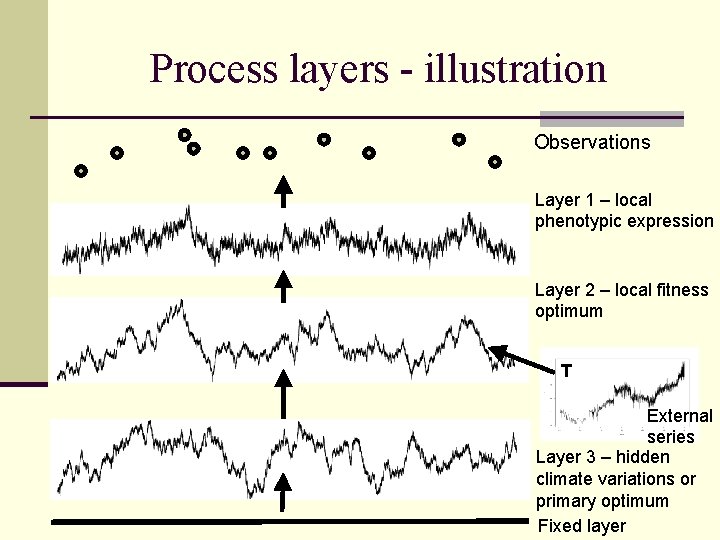 Process layers - illustration Observations Layer 1 – local phenotypic expression Layer 2 –