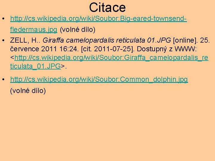 Citace • http: //cs. wikipedia. org/wiki/Soubor: Big-eared-townsendfledermaus. jpg (volné dílo) • ZELL, H. .