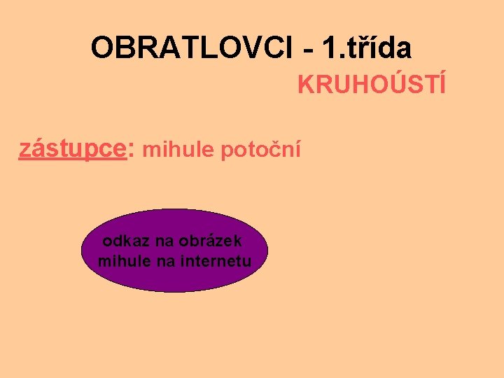 OBRATLOVCI - 1. třída KRUHOÚSTÍ zástupce: mihule potoční odkaz na obrázek mihule na internetu