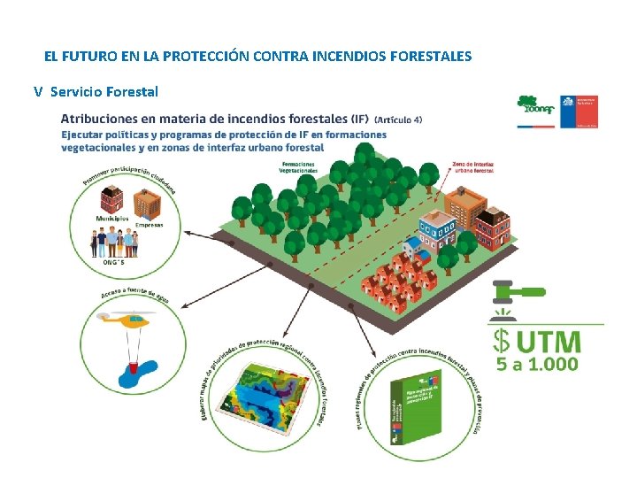 EL FUTURO EN LA PROTECCIÓN CONTRA INCENDIOS FORESTALES V Servicio Forestal 