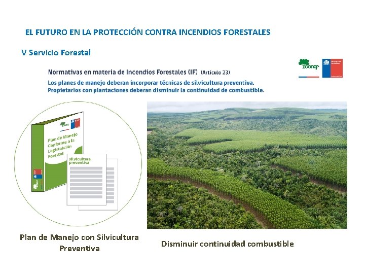 EL FUTURO EN LA PROTECCIÓN CONTRA INCENDIOS FORESTALES V Servicio Forestal Plan de Manejo