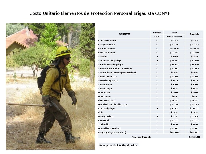 Costo Unitario Elementos de Protección Personal Brigadista CONAF ELEMENTOS Estándar Valor CONAF Inventario Conaf