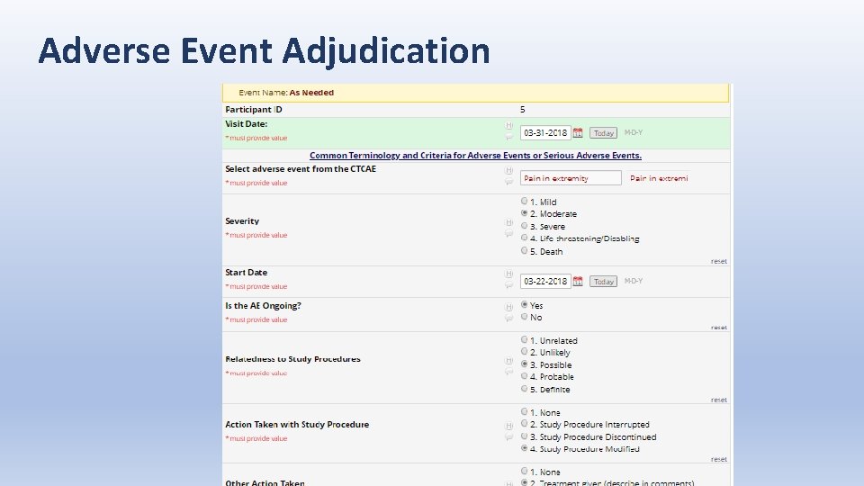 Adverse Event Adjudication 