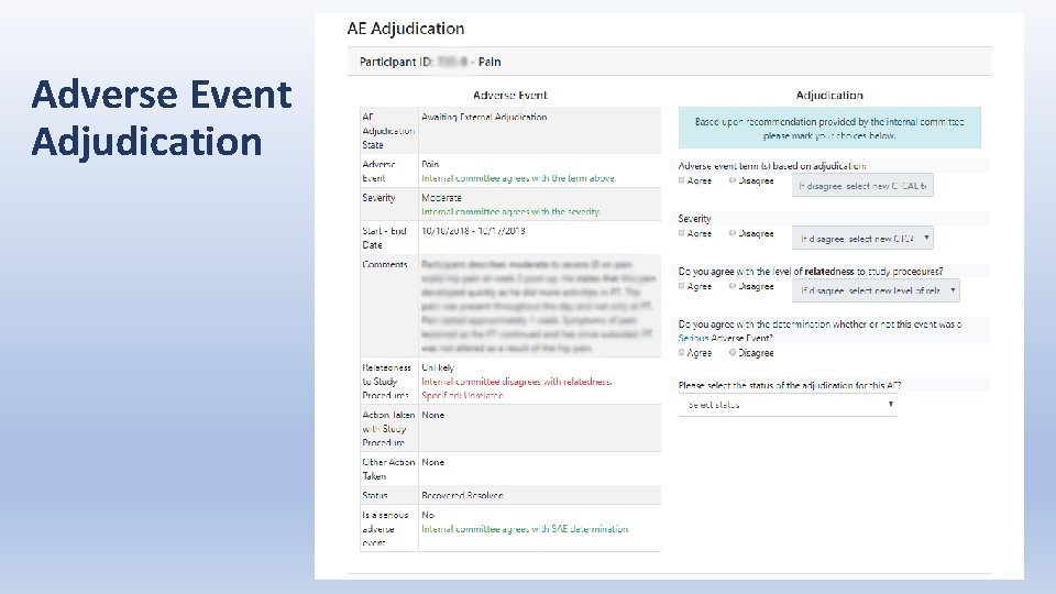 Adverse Event Adjudication 