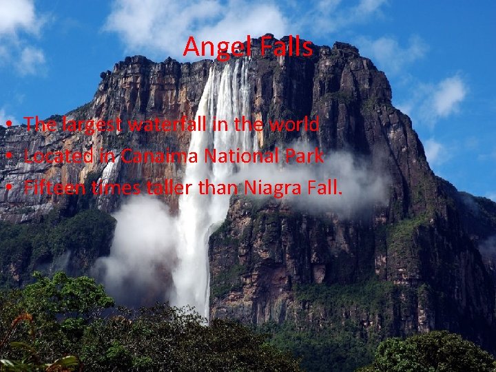 Angel Falls • The largest waterfall in the world • Located in Canaima National
