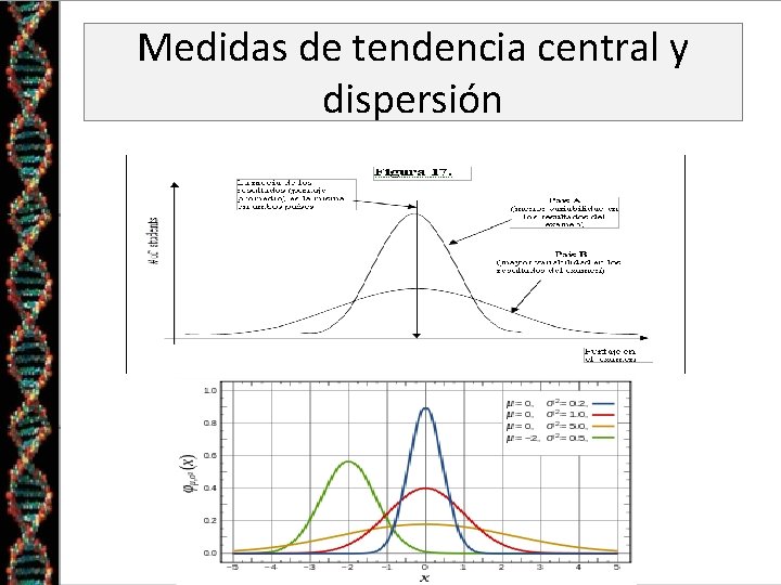 Medidas de tendencia central y dispersión 