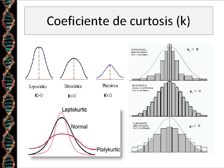 Coeficiente de curtosis (k) K>0 K=0 K<0 