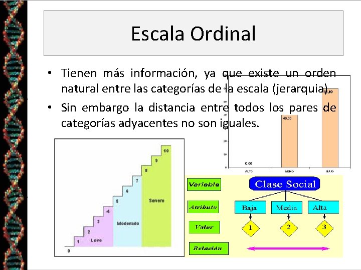 Escala Ordinal • Tienen más información, ya que existe un orden natural entre las