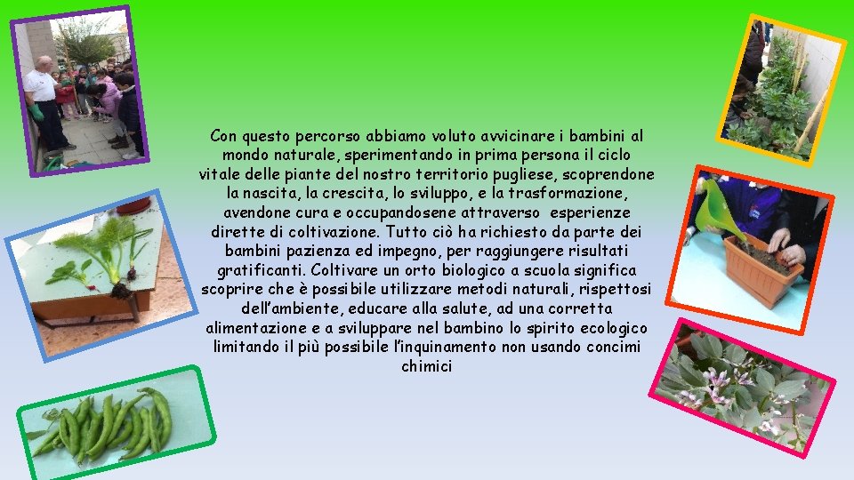 Con questo percorso abbiamo voluto avvicinare i bambini al mondo naturale, sperimentando in prima