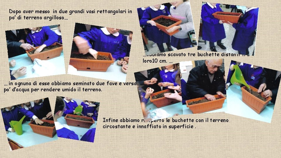 Dopo aver messo in due grandi vasi rettangolari in po’ di terreno argilloso… …abbiamo