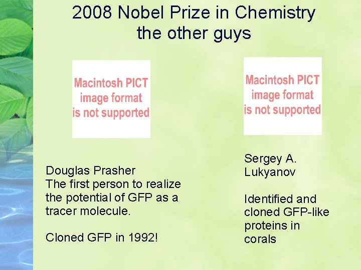 2008 Nobel Prize in Chemistry the other guys Douglas Prasher The first person to