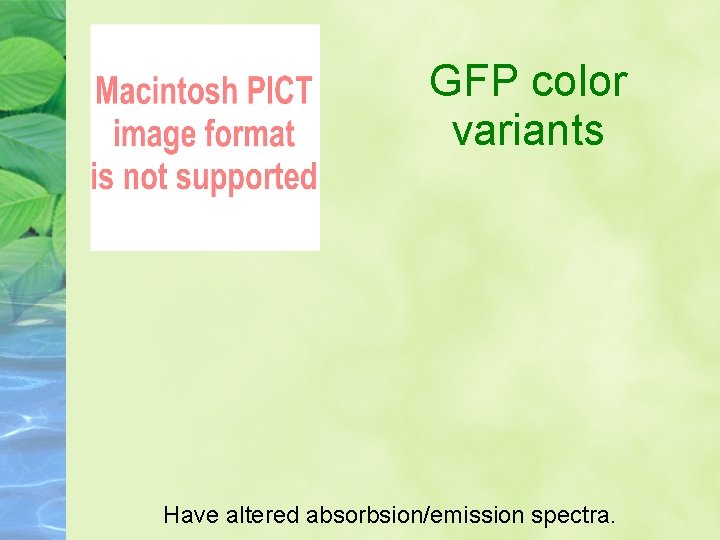 GFP color variants Have altered absorbsion/emission spectra. 