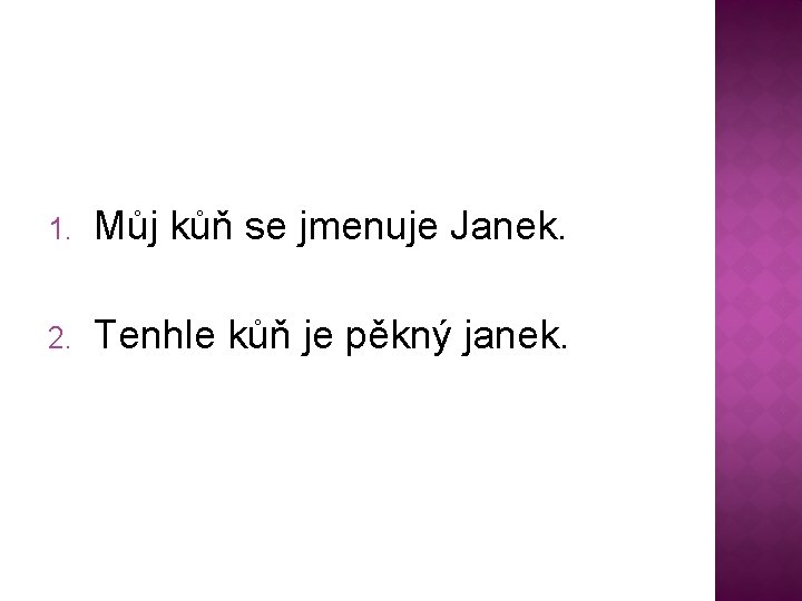 1. Můj kůň se jmenuje Janek. 2. Tenhle kůň je pěkný janek. 