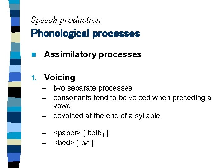 Speech production Phonological processes n Assimilatory processes 1. Voicing – two separate processes: –