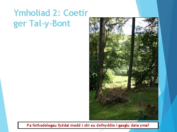 Ymholiad 2: Coetir ger Tal-y-Bont Pa fethodolegau fyddai modd i chi eu defnyddio i