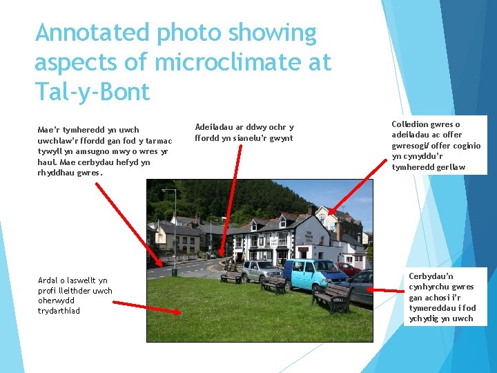 Annotated photo showing aspects of microclimate at Tal-y-Bont Mae’r tymheredd yn uwchlaw’r ffordd gan