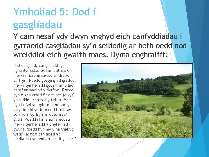 Ymholiad 5: Dod i gasgliadau Y cam nesaf ydy dwyn ynghyd eich canfyddiadau i