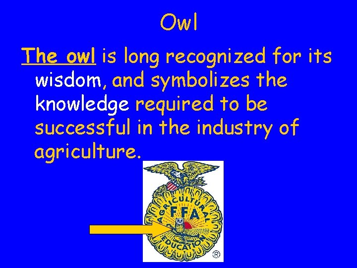 Owl The owl is long recognized for its wisdom, and symbolizes the knowledge required