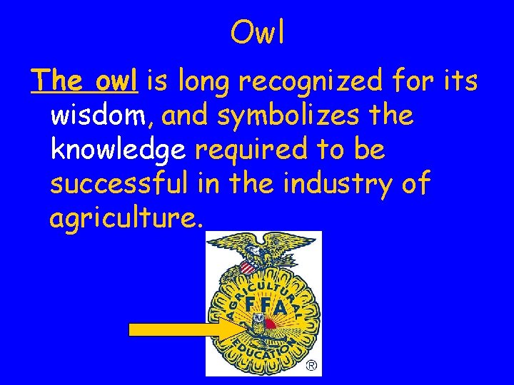 Owl The owl is long recognized for its wisdom, and symbolizes the knowledge required Owl The owl is long recognized for its wisdom, and symbolizes the knowledge required