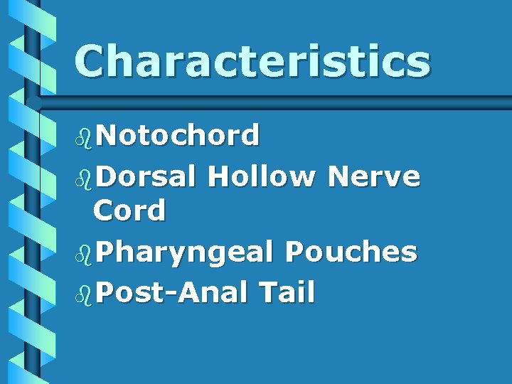 Characteristics b. Notochord b. Dorsal Hollow Nerve Cord b. Pharyngeal Pouches b. Post-Anal Tail