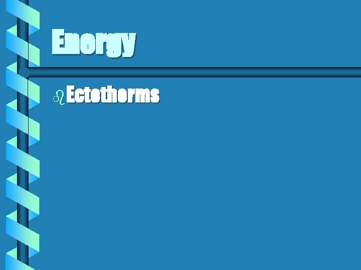 Energy b. Ectotherms 