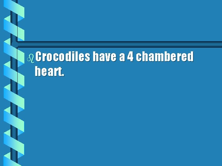 b. Crocodiles have a 4 chambered heart. 