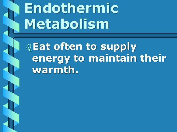 Endothermic Metabolism b. Eat often to supply energy to maintain their warmth. 