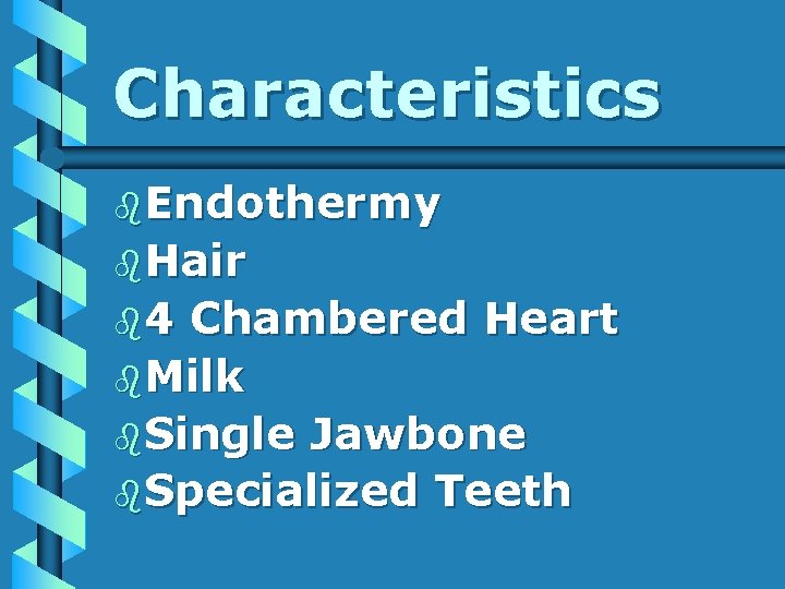 Characteristics b. Endothermy b. Hair b 4 Chambered Heart b. Milk b. Single Jawbone