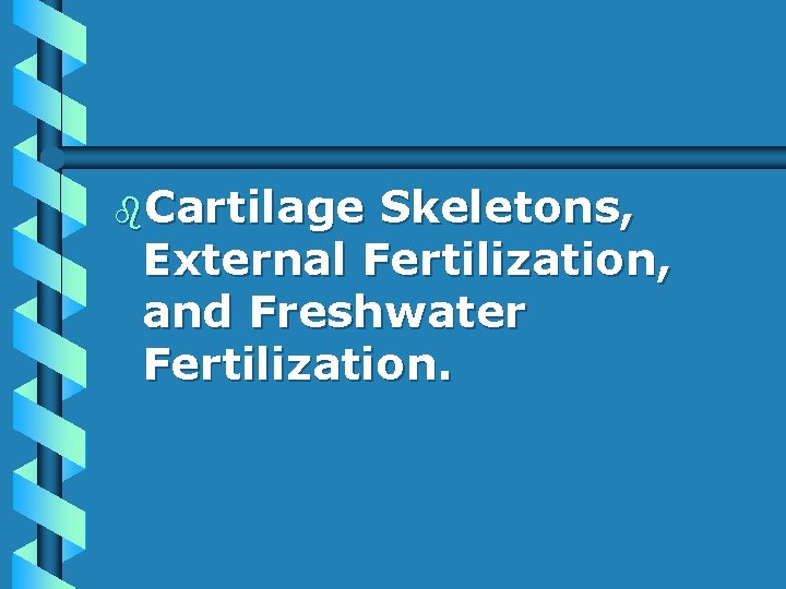 b. Cartilage Skeletons, External Fertilization, and Freshwater Fertilization. 