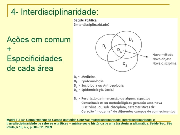 4 - Interdisciplinaridade: Ações em comum + Especificidades de cada área Madel T. Luz.