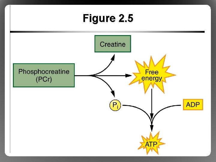 Figure 2. 5 