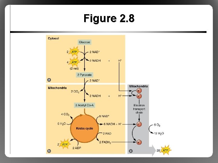 Figure 2. 8 