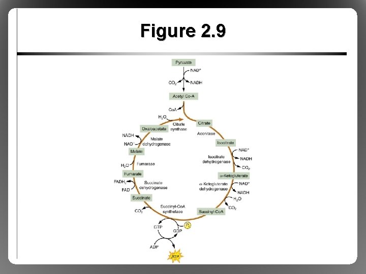 Figure 2. 9 