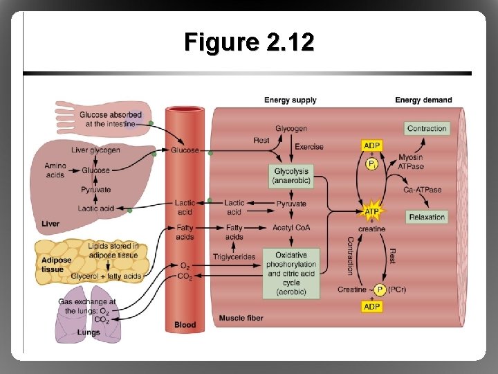 Figure 2. 12 