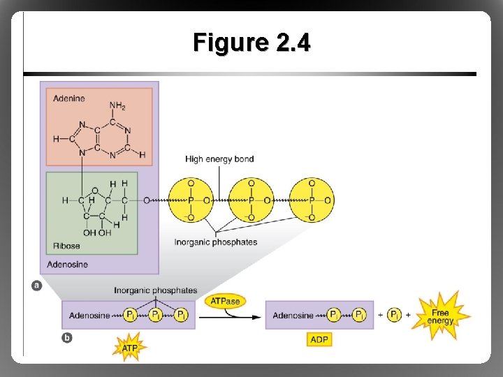 Figure 2. 4 