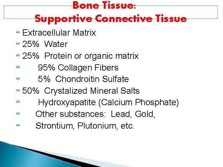 Bone Tissue: Supportive Connective Tissue Extracellular Matrix 25% Water 25% Protein or organic matrix Bone Tissue: Supportive Connective Tissue Extracellular Matrix 25% Water 25% Protein or organic matrix