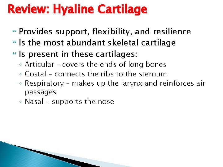 Review: Hyaline Cartilage Provides support, flexibility, and resilience Is the most abundant skeletal cartilage Review: Hyaline Cartilage Provides support, flexibility, and resilience Is the most abundant skeletal cartilage
