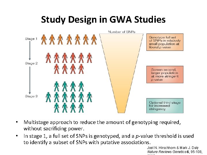 Study Design in GWA Studies • Multistage approach to reduce the amount of genotyping