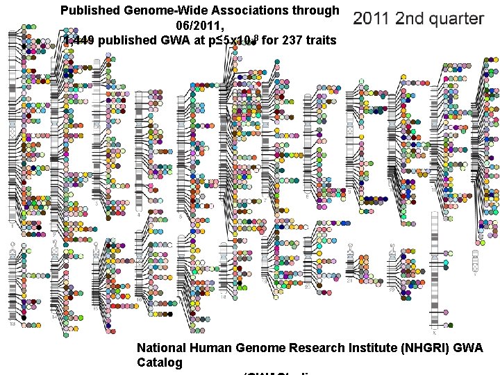 Published Genome-Wide Associations through 06/2011, 1, 449 published GWA at p≤ 5 x 10