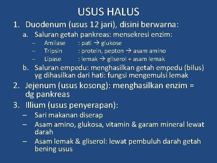 USUS HALUS 1. Duodenum (usus 12 jari), disini berwarna: a. Saluran getah pankreas: mensekresi