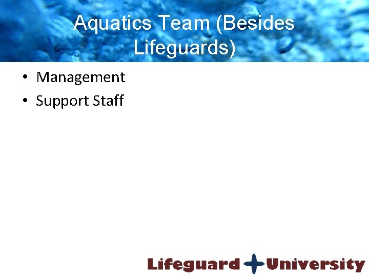 Aquatics Team (Besides Lifeguards) • Management • Support Staff 
