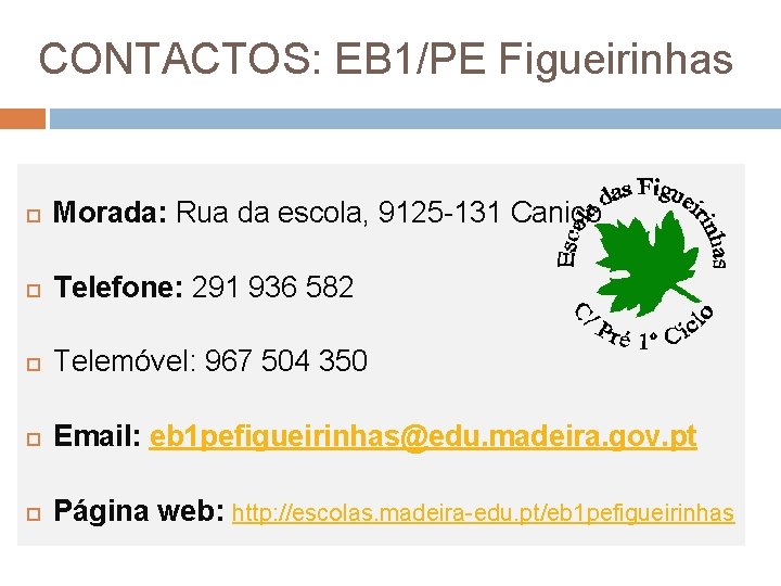 CONTACTOS: EB 1/PE Figueirinhas Morada: Rua da escola, 9125 -131 Caniço Telefone: 291 936