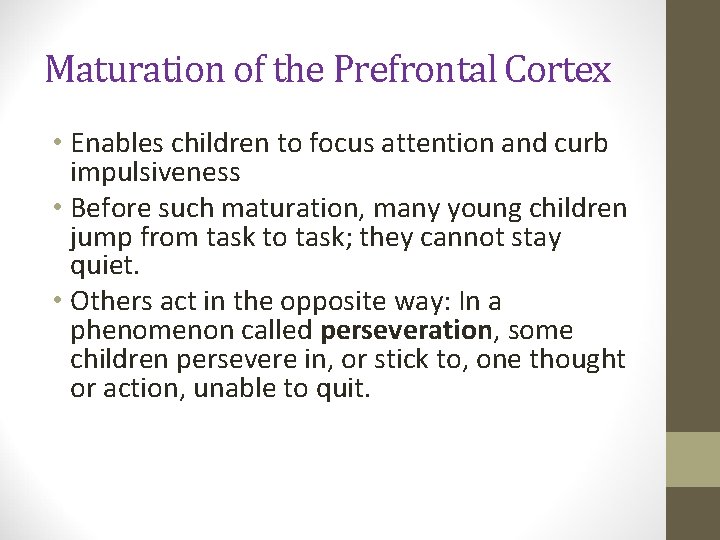 Maturation of the Prefrontal Cortex • Enables children to focus attention and curb impulsiveness