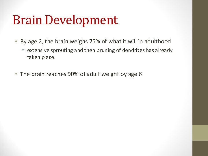 Brain Development • By age 2, the brain weighs 75% of what it will