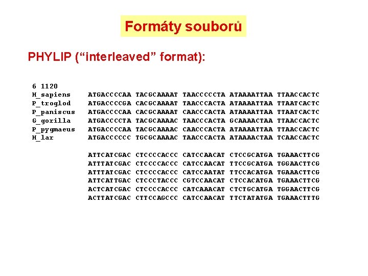 Formáty souborů PHYLIP (“interleaved” format): 6 1120 H_sapiens P_troglod P_paniscus G_gorilla P_pygmaeus H_lar ATGACCCCAA