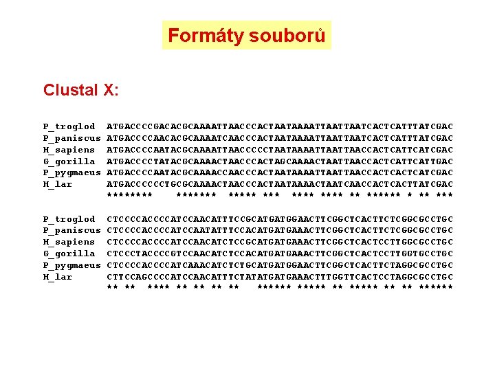 Formáty souborů Clustal X: P_troglod P_paniscus H_sapiens G_gorilla P_pygmaeus H_lar ATGACCCCGACACGCAAAATTAACCCACTAATAAAATTAATCACTCATTTATCGAC ATGACCCCAACACGCAAAATCAACCCACTAATAAAATTAATCACTCATTTATCGAC ATGACCCCAATACGCAAAATTAACCCCCTAATAAAATTAACCACTCATCGAC ATGACCCCTATACGCAAAACTAACCCACTAGCAAAACTAATTAACCACTCATTGAC