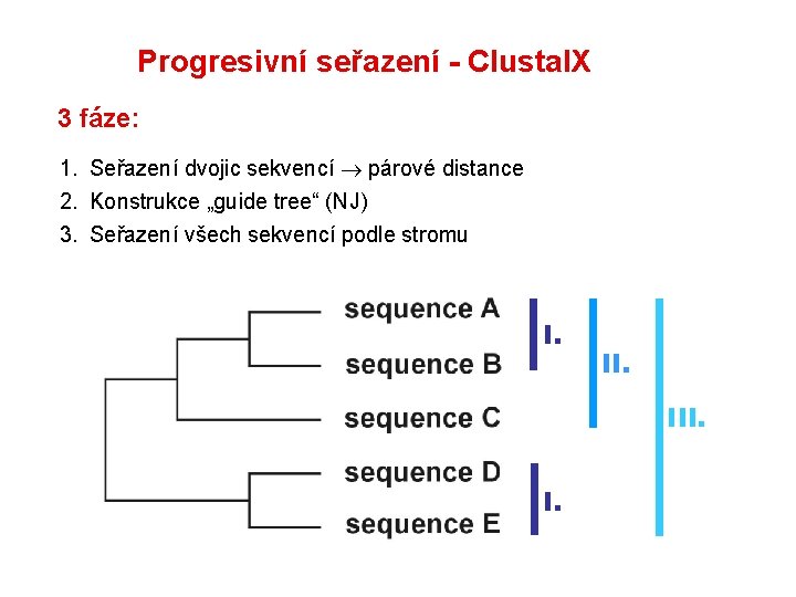 Progresivní seřazení - Clustal. X 3 fáze: 1. Seřazení dvojic sekvencí párové distance 2.